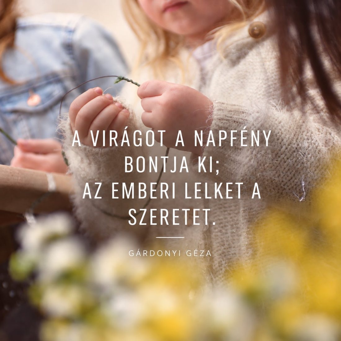 A quote by Gárdonyi Géza: Sunlight opens the flower; love opens the human soul.