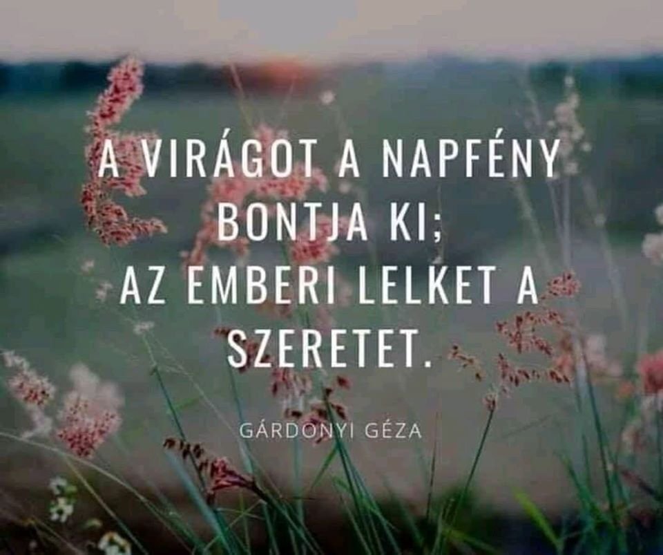 Mezei virágok naplementében, Gárdonyi Géza idézetével